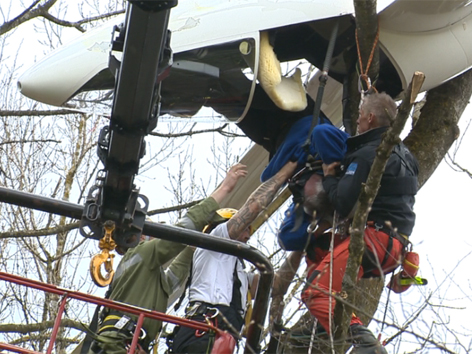 Segelflieger stürzte in Wald ab