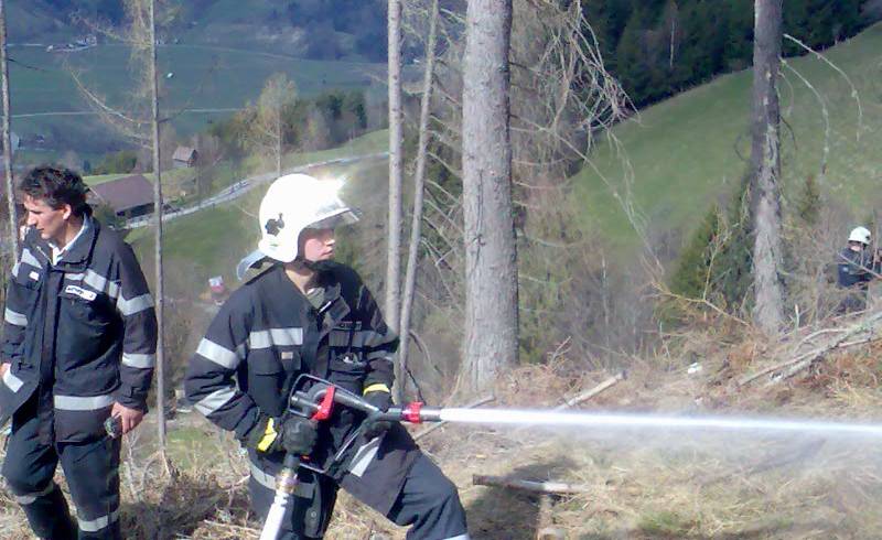 Waldbrand am Michaelerberg