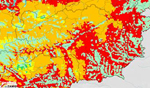 Extreme Waldbrandgefahr in der Steiermark