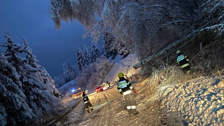 Starke Schneefälle fordern FF Stein/Enns