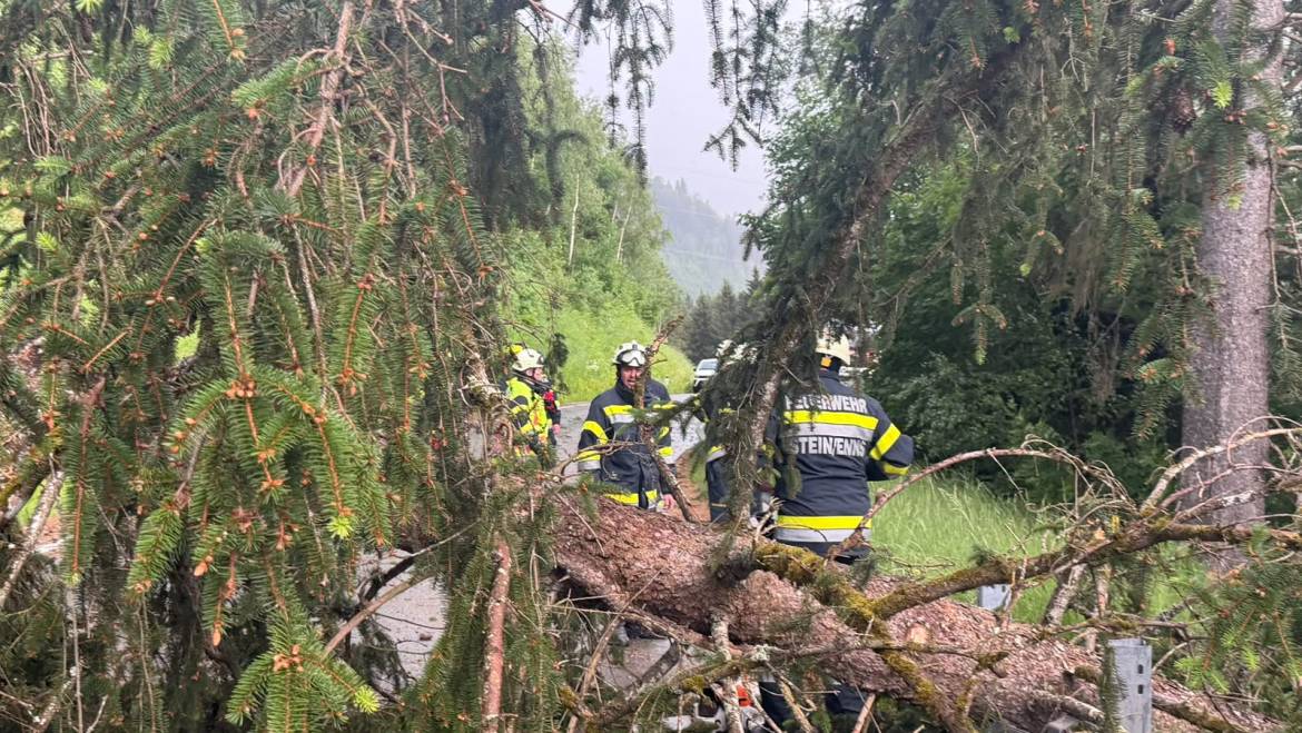 Zwei Einsätze innerhalb weniger Stunden
