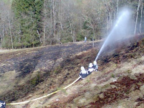 Braende - Waldbrand-Michaelerberg-2007_3.jpg